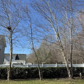 Koschel’s Tree Care - Tree Services Near Me Koschel’s Tree Care - Tree Services Near Me