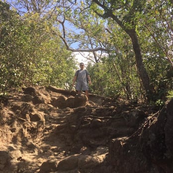 Waʻahila Ridge State Recreation Area - Small kind climbing but anybody in decent shape can manage - Hiking Near Me - Honolulu, Hawaii Waʻahila Ridge State Recreation Area - Small kind climbing but anybody in decent shape can manage - Hiking Near Me - Honolulu, Hawaii