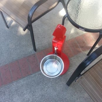 Pups n Purrz - water - Pet Stores Near Me - Benicia, California Pups n Purrz - water - Pet Stores Near Me - Benicia, California