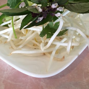 Pho King Good - Getting ready for my pho!!! - Vietnamese Near Me - Auburn, California Pho King Good - Getting ready for my pho!!! - Vietnamese Near Me - Auburn, California