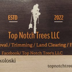 Top Notch Trees