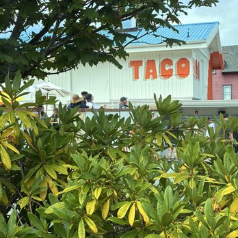 Tacofino - Outside - Mexican Near Me - Tofino, British Columbia Tacofino - Outside - Mexican Near Me - Tofino, British Columbia