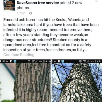 Dave & Sons Tree Service - Tree Services Near Me - Addison, New York