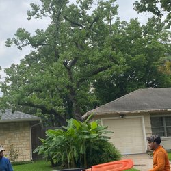 Cheapway Tree Service and Landscaping - Crew cleaning up