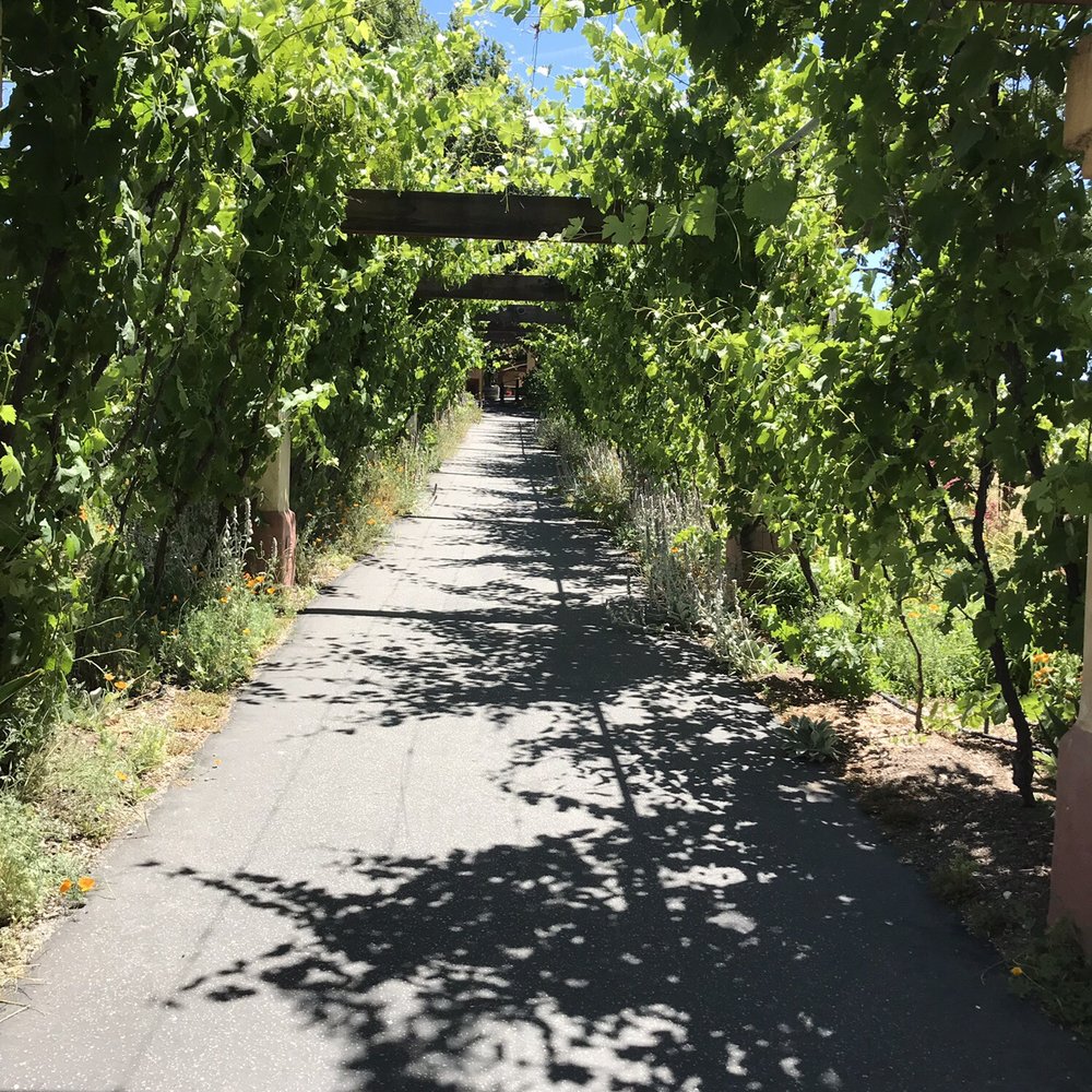 Castoro Cellars - Entrance - Wineries Near Me - Templeton, California Castoro Cellars - Entrance - Wineries Near Me - Templeton, California