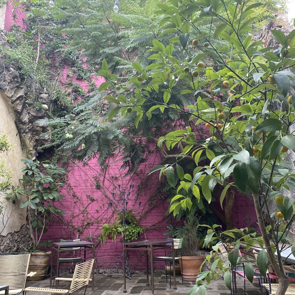 Garambullo - Inside - Coffee & Tea Near Me - San Miguel de Allende, GUA