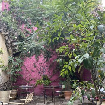 Garambullo - Inside - Coffee & Tea Near Me - San Miguel de Allende, GUA