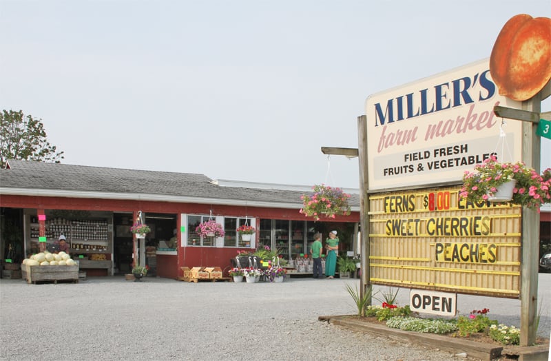 MILLER’S FARM MARKET Updated August 2024 3460 State Rte 39