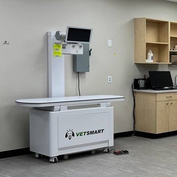 Pet Wellness Clinic - Veterinarians Near Me - Indianapolis, Indiana Pet Wellness Clinic - Veterinarians Near Me - Indianapolis, Indiana