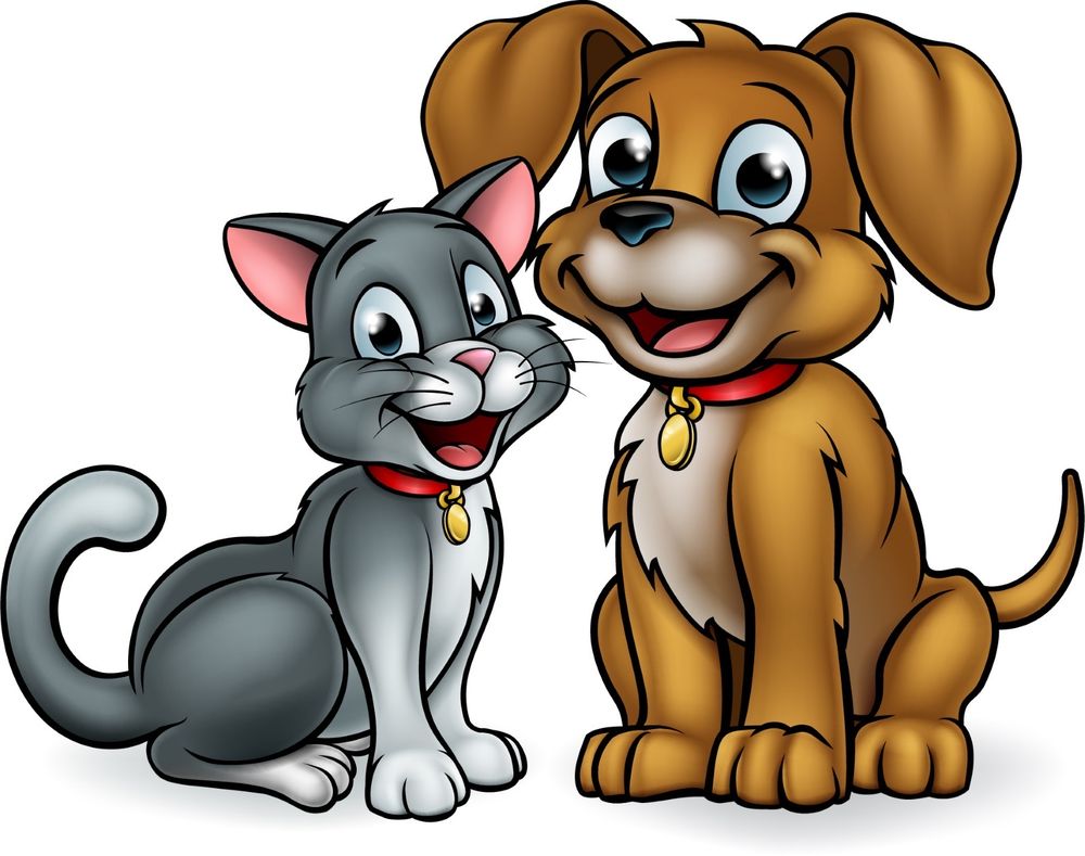 COUNTRY SIDE KENNEL Updated August 2024 201 Church Hill Rd