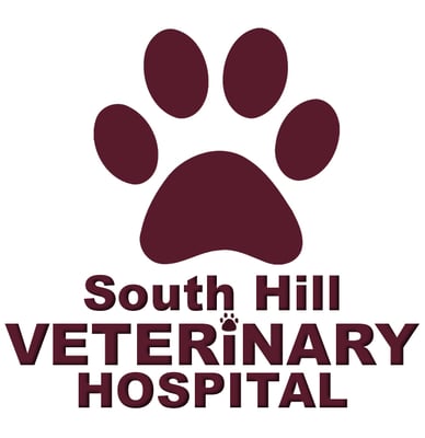 South Hill Veterinary Clinic 2025