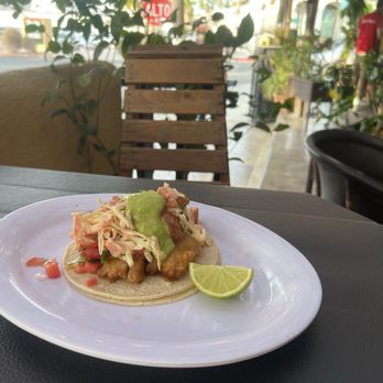 Claro Fish Jr - Fish taco - Seafood Near Me - La Paz, BCS