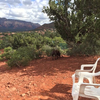 Dog Park - Dog Parks Near Me - Sedona, Arizona Dog Park - Dog Parks Near Me - Sedona, Arizona