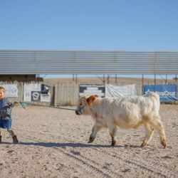 Paso Robles Pastures