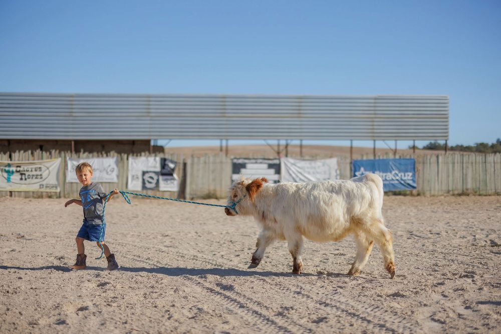 Paso Robles Pastures Logo