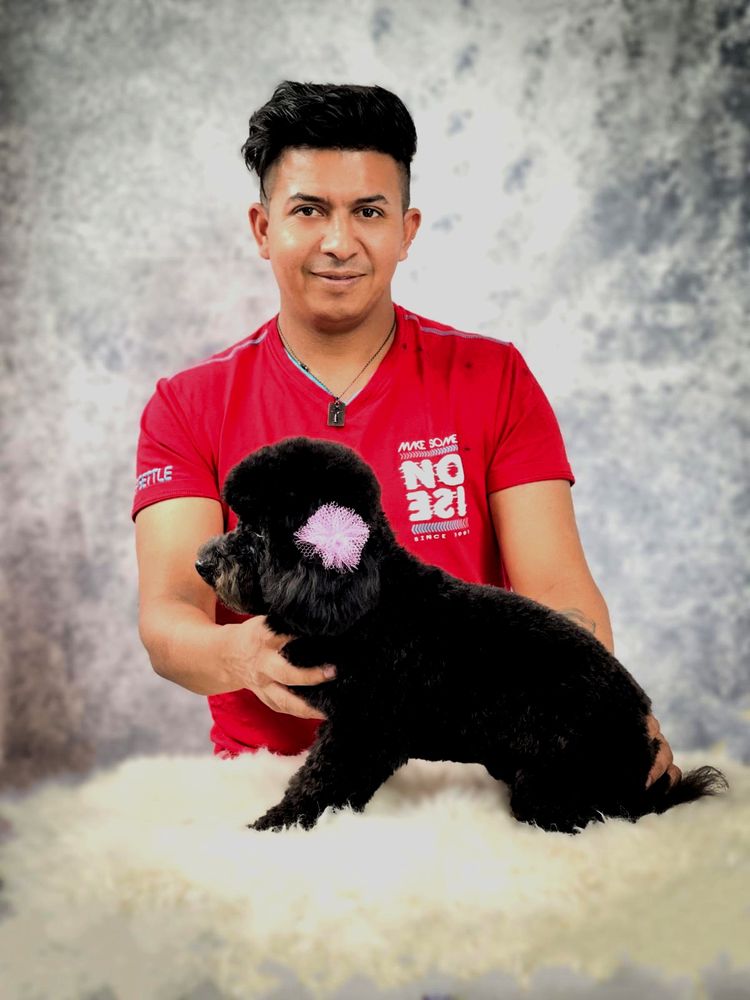 ADONIS PET GROOMING 43 Photos 4063 Juntion Blvd, Queens, New York Pet Groomers Phone