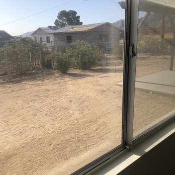 Yellow Daisies - Windows not cleaned - Home Cleaning Near Me Yellow Daisies - Windows not cleaned - Home Cleaning Near Me
