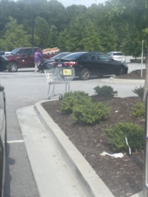 Publix Super Market at Sandtown Crossing by null