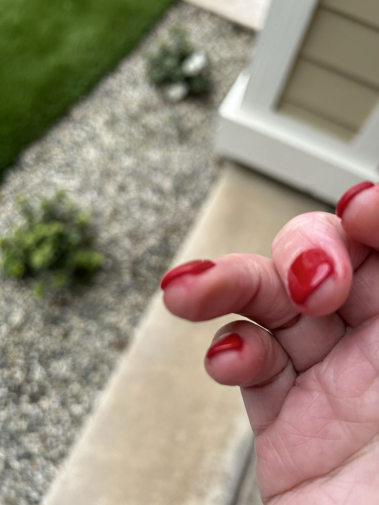 Fan Nails & Spa Logo