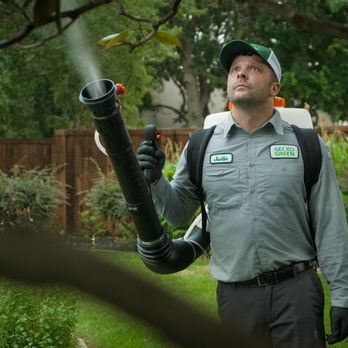 Gecko Green - lawn care mckinney, tx - Pest Control Near Me - McKinney, Texas Gecko Green - lawn care mckinney, tx - Pest Control Near Me - McKinney, Texas