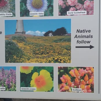 Piedras Blancas Light Station - One example of the many informational signs along the tour. - Landmarks & Historical Buildings Near Me - San Simeon, California