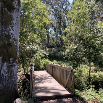 Filoli - The bridge that crosses the San Andreas Fault Line! - Botanical Gardens Near Me - Woodside, California