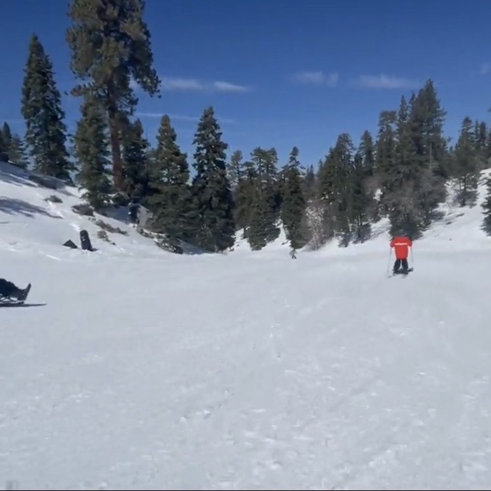 US Adaptive Recreation Center - Another photo going down the hill in my ski sled and my son with autism in the orange jacket skiing. - Amateur Sports Teams Near Me - Big Bear Lake, California US Adaptive Recreation Center - Another photo going down the hill in my ski sled and my son with autism in the orange jacket skiing. - Amateur Sports Teams Near Me - Big Bear Lake, California