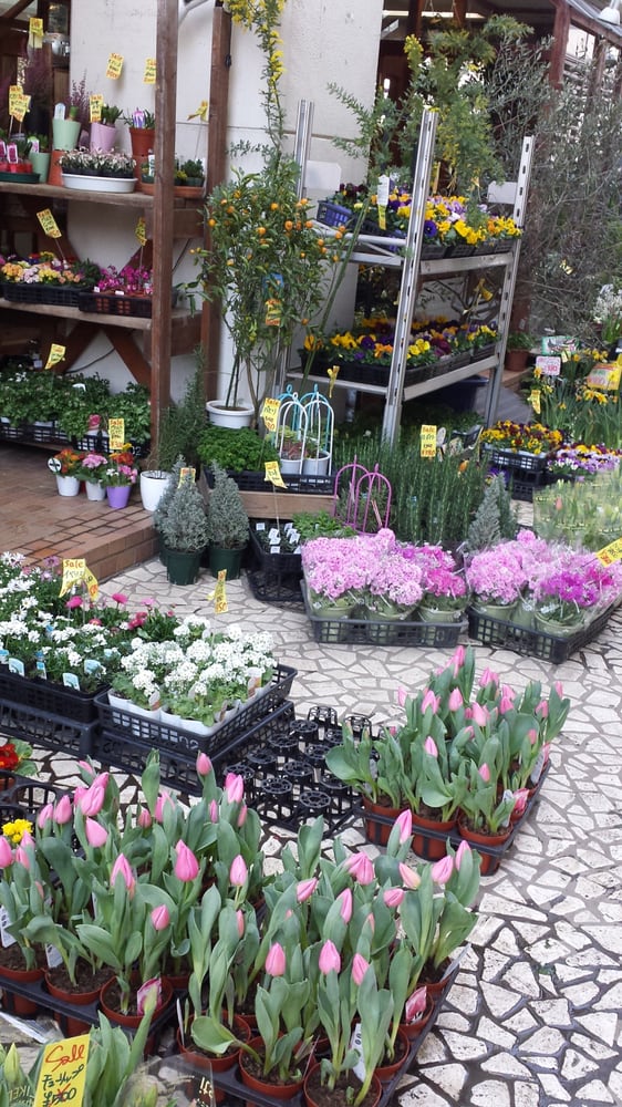 花市場青山店 南青山3丁目13 23 港区 東京都 Japan Phone Number Yelp