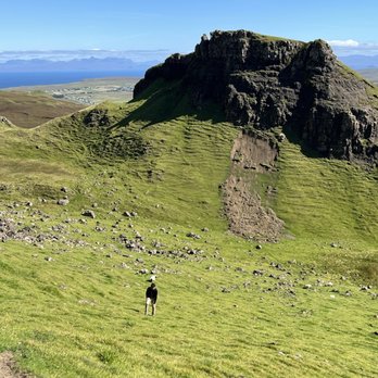 The Hairy Coo - Tours Near Me - Edinburgh, EDH
