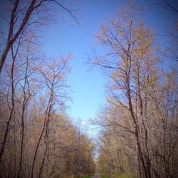 Western Reserve Greenway Trail - Some nice scenic views.