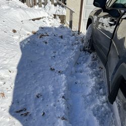 Andrew's Lawn and Snow - Couldn't step out of my car without stepping into the snow because they didn't clear the entire driveway