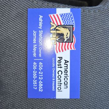 American pest control - Pest Control Near Me American pest control - Pest Control Near Me