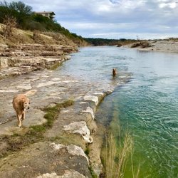 Dos Rios RV Park - Dog friendly doesn't even begin to describe it!