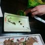 Photo of Koji Sushi Restaurante Japonês