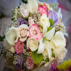 The Floral Fountain - flower
