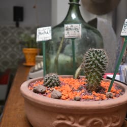 Eco Pampa Hostel
