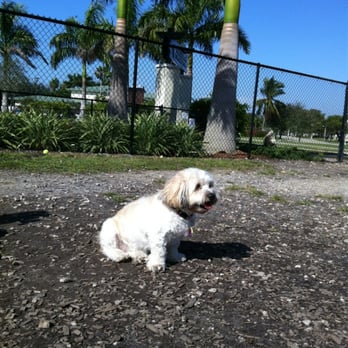 Naples Dog Park - Dog Parks Near Me