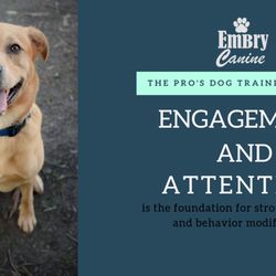 Embry Canine