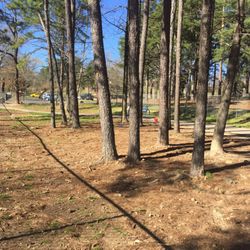 Hot Springs Bark Park