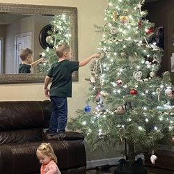 Shelton's Christmas Tree Farm
