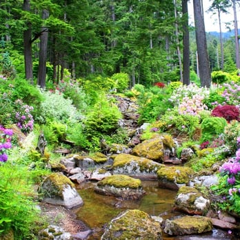 Glacier Gardens Rainforest Adventure - Botanical Gardens Near Me - Juneau, Alaska