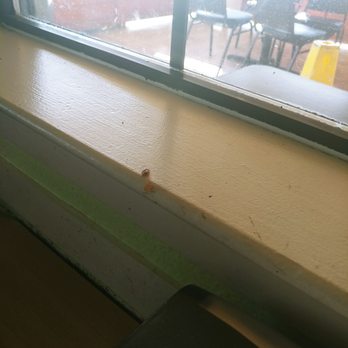 Tacos y Tortas Chalio's 3 - Dirty window sill - Tacos Near Me - Hanford, California