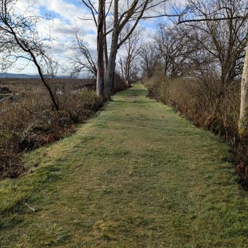 Wiley Slough - Wildlife Control Near Me - Mount Vernon, Washington
