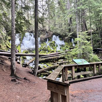 Clearwater Falls - Clearwater Falls - Hiking Near Me - Clearwater Falls, Oregon