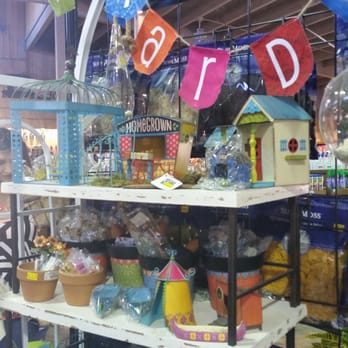 Armstrong Garden Centers - For your Fairy Garden.. - Nurseries & Gardening Near Me - Carlsbad, California Armstrong Garden Centers - For your Fairy Garden.. - Nurseries & Gardening Near Me - Carlsbad, California