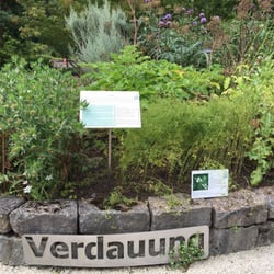 Botanischer Garten