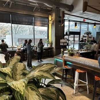 40 LBS Coffee + Bar - Interior - Coffee & Tea Near Me - Portland, Oregon