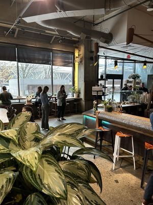 40 LBS Coffee + Bar by null