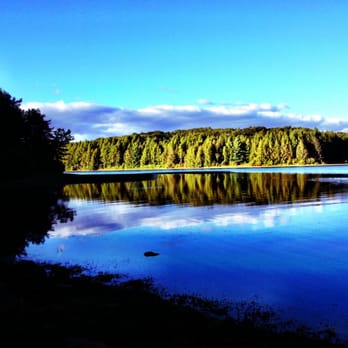 Tory's Den - The old marsh reservoir can be seen off the beaten path - Hiking Near Me - Plymouth, Connecticut