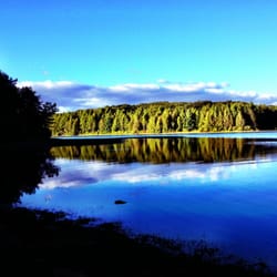 Tory's Den - The old marsh reservoir can be seen off the beaten path